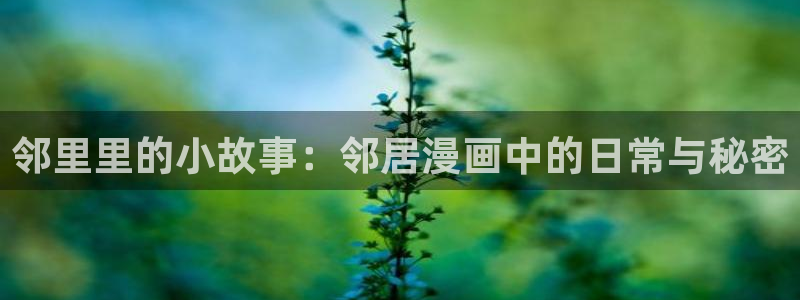 韩漫免费漫画免费：邻里里的小故事：邻居漫画中的日常与秘密