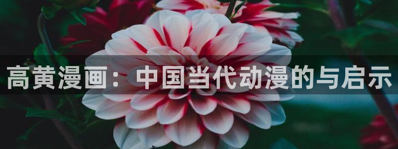韩漫双男主漫画app：高黄漫画：中国当代动漫的与启示