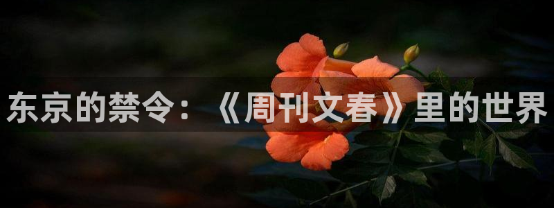svip漫画韩漫：东京的禁令：《周刊文春》里的世界