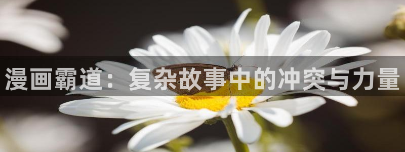 韩漫官网首页在线观看：漫画霸道：复杂故事中的冲突与力量