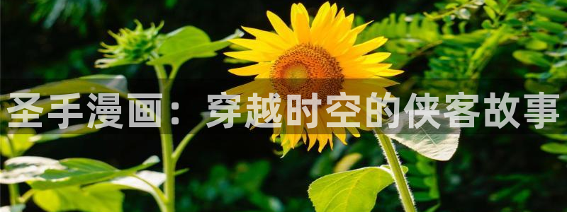 原耽漫画韩漫：圣手漫画：穿越时空的侠客故事