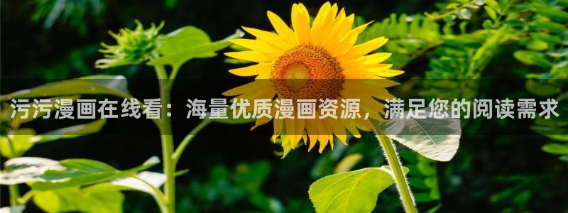 韩漫之家免费看：污污漫画在线看：海量优质漫画资源，满足您的阅读需求