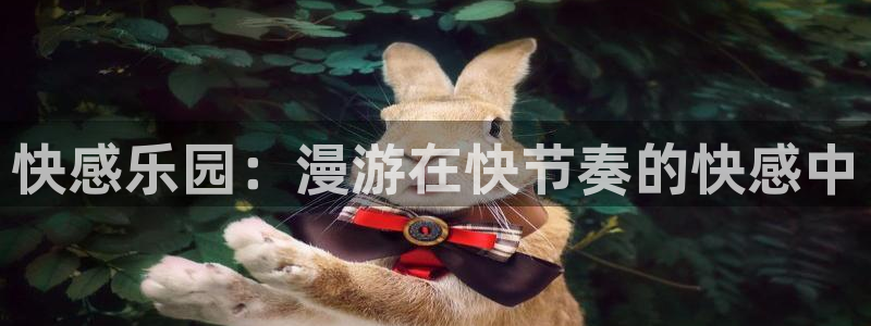 日韩漫画免：快感乐园：漫游在快节奏的快感中