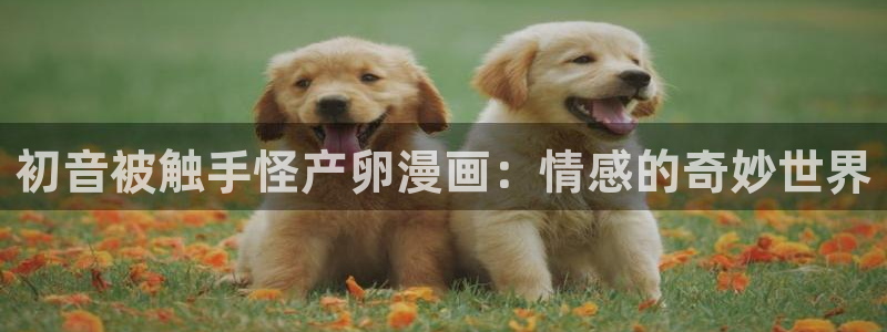 3d动漫韩漫在线观看完整版免费：初音被触手怪产卵漫画：情感的奇妙世界