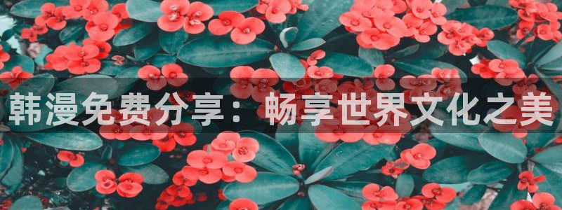韩漫画最新：韩漫免费分享：畅享世界文化之美