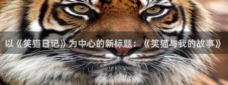 韩漫免费观看网：以《笑猫日记》为中心的新标题：《笑猫与我的故事》