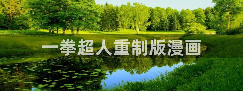 歪歪韩漫免费在线观看：一拳超人重制版漫画