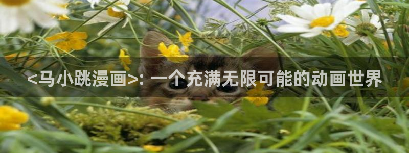 看韩漫的网站免费：<马小跳漫画>: 一个充满无限可能的动画世界