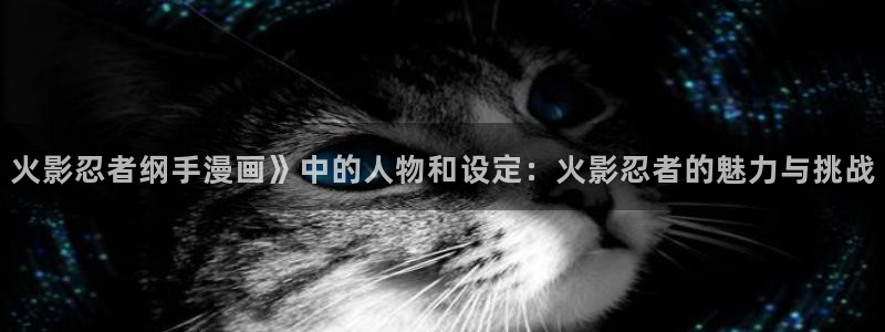 韩漫色漫画：火影忍者纲手漫画》中的人物和设定：火影忍者的魅力与挑战