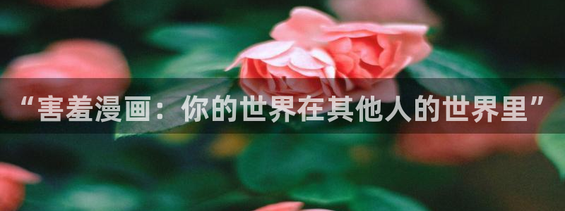 超多车的韩漫漫画：“害羞漫画：你的世界在其他人的世界里”