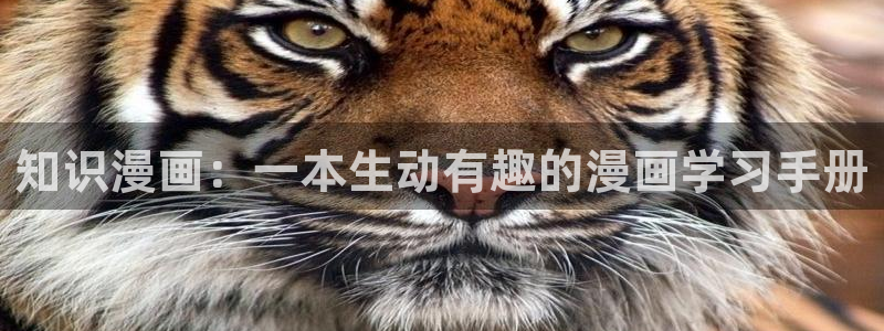 韩漫画大全免费看入口：知识漫画：一本生动有趣的漫画学习手册