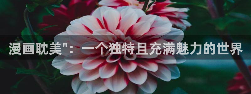 韩漫网站免费观看漫画：漫画耽美\